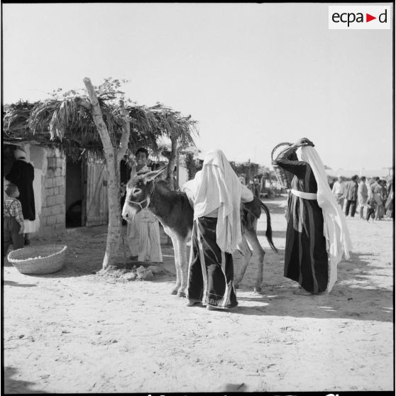 Le camp de réfugiés palestiniens de Jabalia, dans la zone de Gaza.