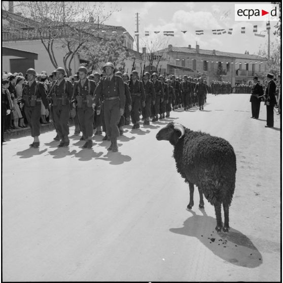 Le défilé à pied, Boghari.