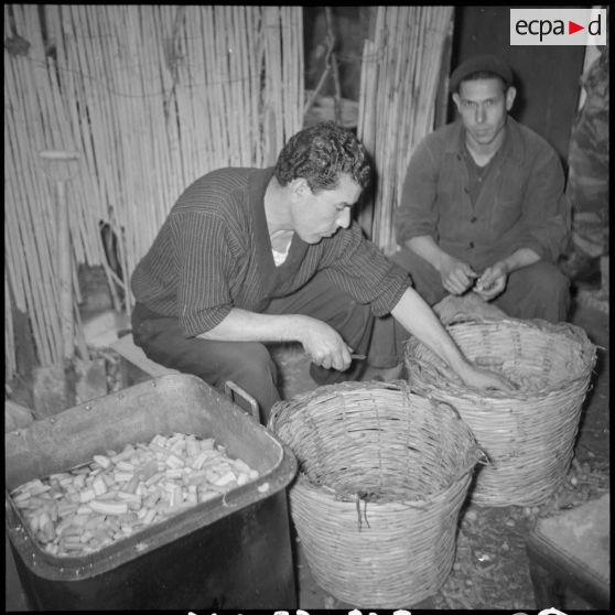 Découpe de légumes.