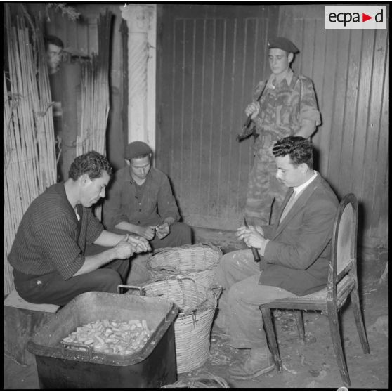 Découpe de légumes.