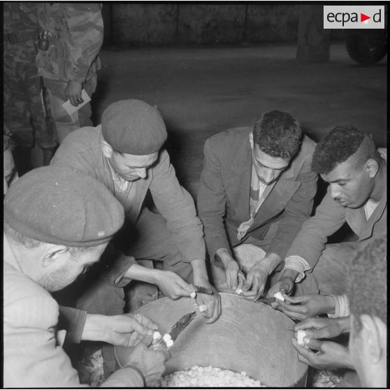 Découpe de légumes.