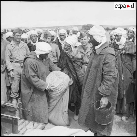 Distribution de blé à Sidi-Chaïb.