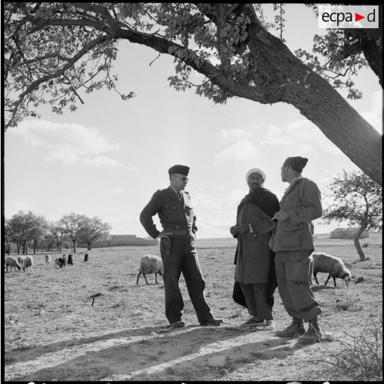 Les lieutenants Bruniquel (SAS) et Gestin à Sidi-Chaïb.