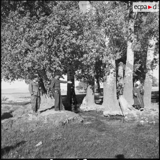 Les lieutenants Bruniquel (SAS) et Gestin à Sidi-Chaïb.