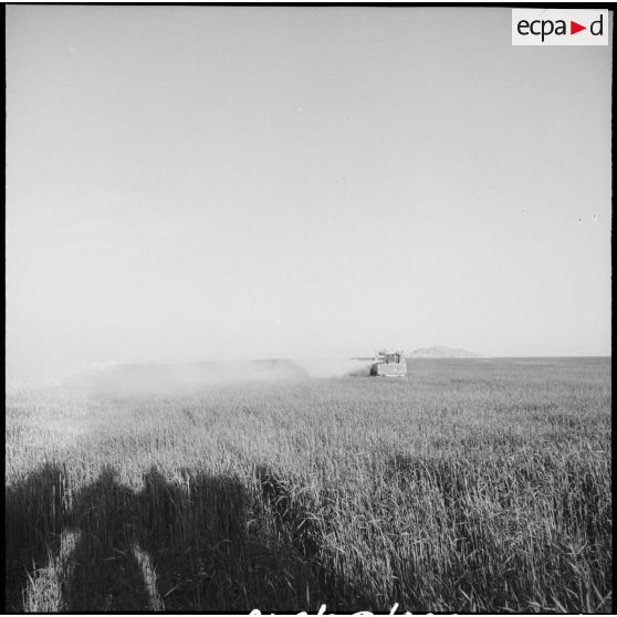 Epandage de produit phytosanitaire, Mascara.