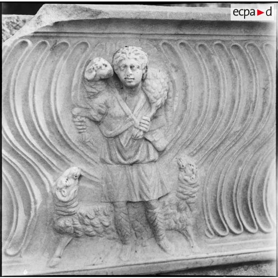 Bas-relief romaine sur le site de Tipasa.