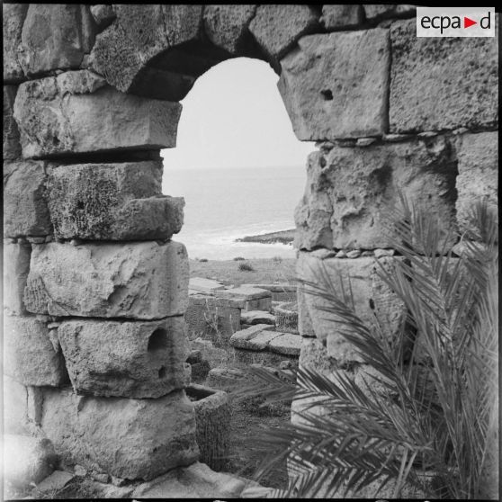 Les ruines romaines de Tipasa.