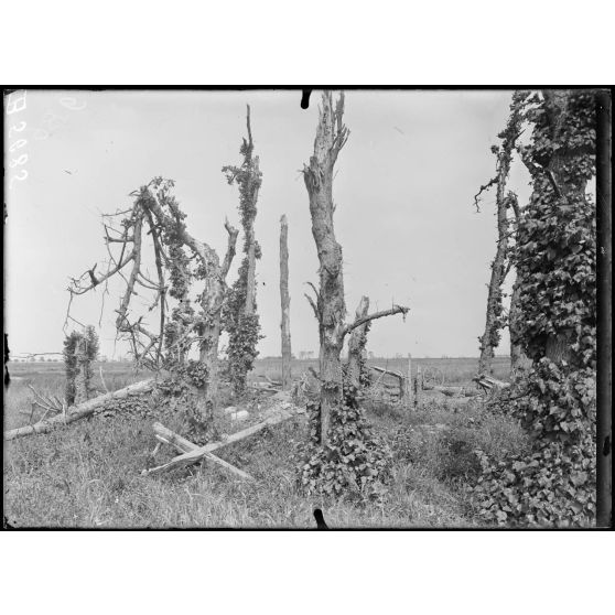 Crapeaumesnil (Oise). Le calvaire. [légende d'origine]