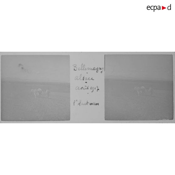 Bellemagny. Alsace. Août 1917. L'Hartman. [légende d'origine]