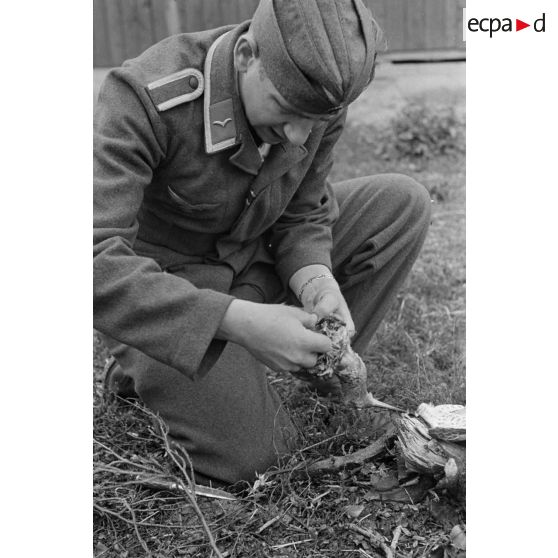 Un sous-officier (Unteroffizier), fauconnier de la Luftwaffe, accroupi, manipulant le corps d'un oiseau mort.