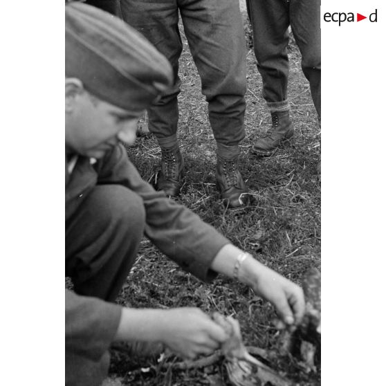 Un sous-officier (Unteroffizier), fauconnier de la Luftwaffe. nourrit un faucon apprivoisé.