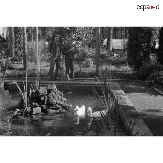 Deux aviateurs allemands et un chien devant la pièce d'eau d'une propriété réquisitionnée par le See-Aufklaerungsgruppe-125.