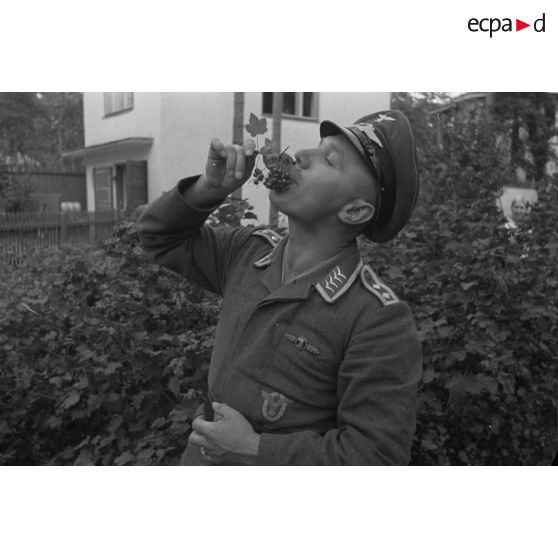 Un Oberfelwebel du See-Aufklaerungsgruppe-125 mange des myrtilles.