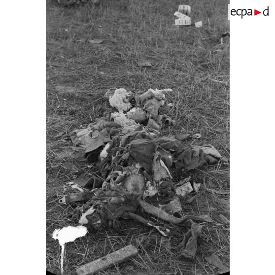 Cadavre décharné (atrocement mutilé) d'un membre de l'équipage d'un bombardier Wellington-MK1.