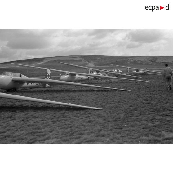 Alignement de planeurs monoplaces de type DFS Habicht, du N.S.F.K. (Nationalistischen Flieger-Korps) appartenant peut-être au 4e Gruppe "Berlin-Mark Brandenburg".