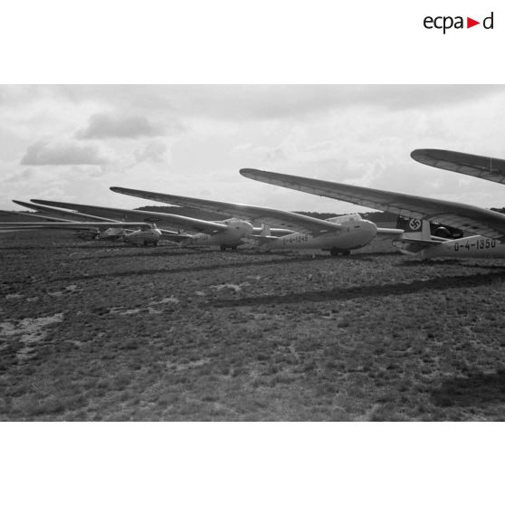 Alignement de planeurs monoplaces de type DFS Habicht, du N.S.F.K. (Nationalistischen Flieger-Korps) appartenant peut-être au 4e Gruppe "Berlin-Mark Brandenburg".