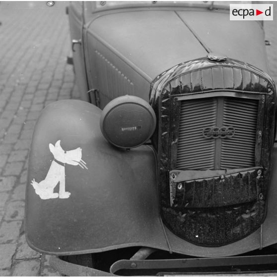 Insigne d'une unité terrestre de la Luftwaffe (chien) sur une automobile Horch-Kommandeur.