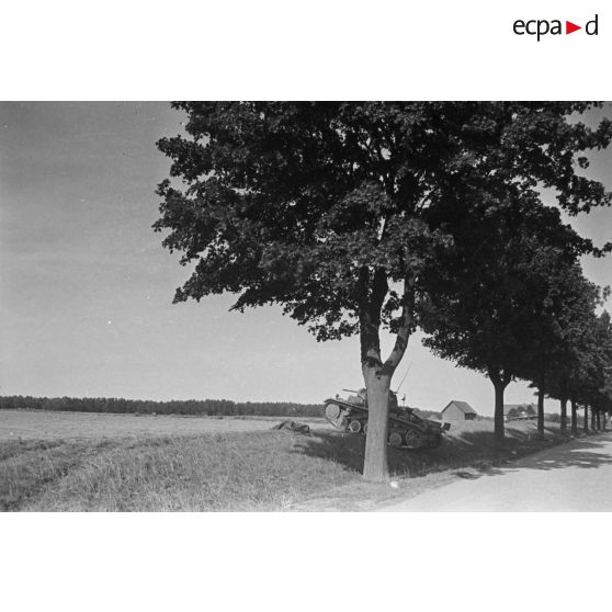 Chars Panzer II (Pz-II) au bord d'une route, entre des arbres.
