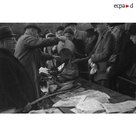 Des civils allemands achètent du poisson.