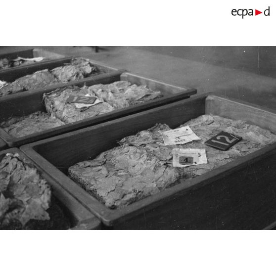 Caisses de copeaux de bois ou de morceaux de papier usagés.