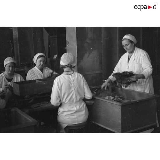 Tri du contenu des caisses par trois femmes en blouses blanches.