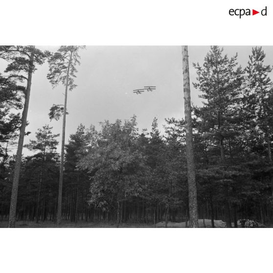 Deux hydravions allemands, Arado Ar-95, vus du sol, survolent une fôret.