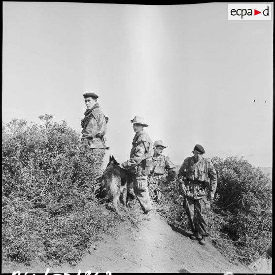 Une patrouille à pied avec chien dans le secteur de Menerville.