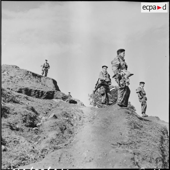 Une patrouille à pied dans le secteur de Thenia.