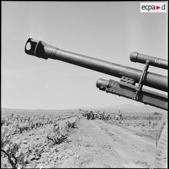Pièces de 105 mm (10,5 mm FH 18 M) dans une vigne dans le secteur de Thenia.