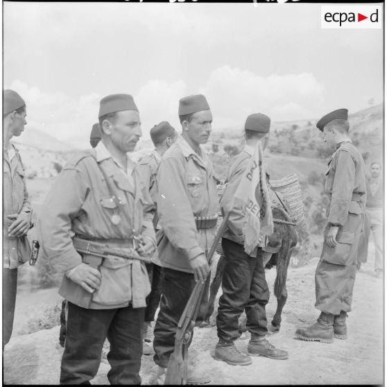 La harka d'Oulad Ali Ben Athmane.