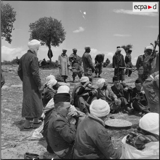 El Gor, Algérie. Le méchoui du sacrifice rituel du mouton.