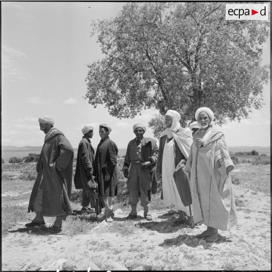 El Gor, Algérie. Un groupe d'hommes au pied d'un arbre, qui s'apprêtent à partir à la fin de la cérémonie du sacrifice rituel du mouton.