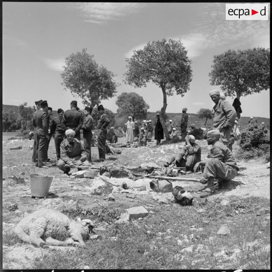 El Gor, Algérie. Préparation d'un méchoui.