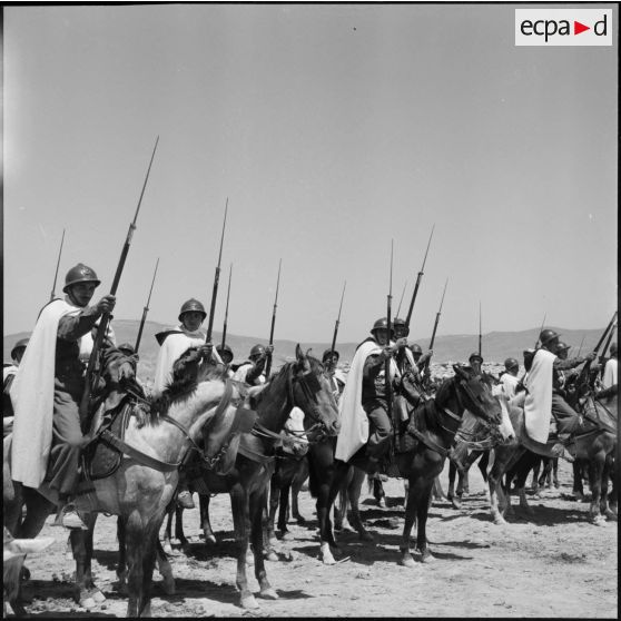 Région des Ouled Taïer. Harkas montées.