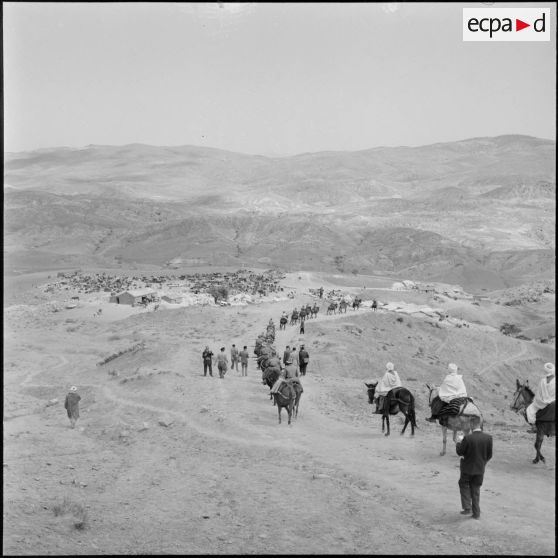 Région des Ouled Taïer. Une harka à cheval.