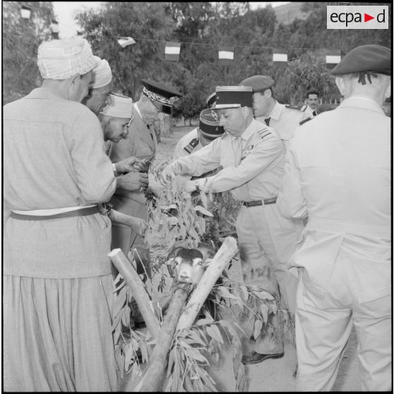 Hammam Melouane. Le méchoui.