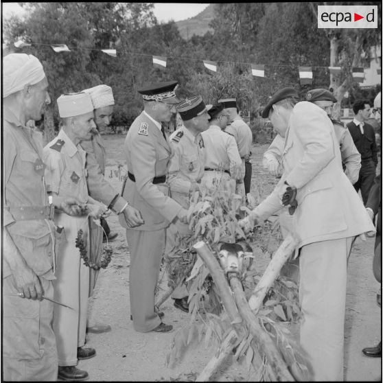 Hammam Melouane. Le méchoui.