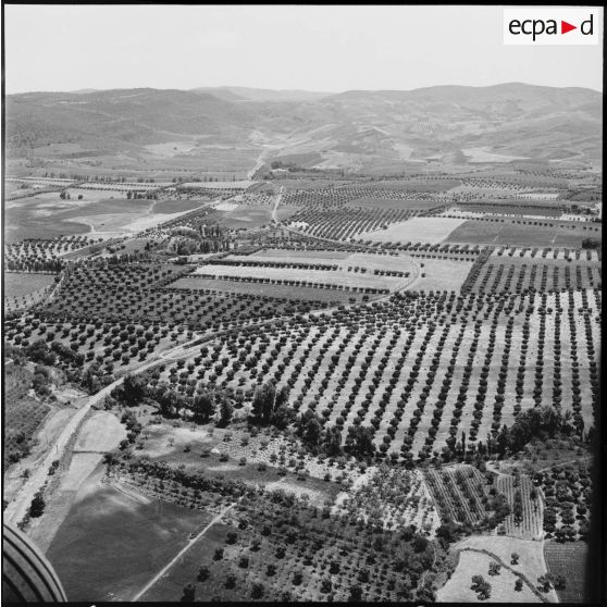 Vues aériennes de différentes villes par des Sikorsky S58.