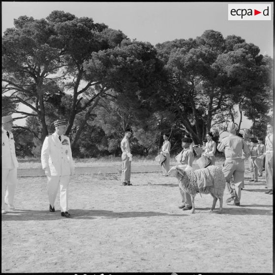 Koléa. Présentation au général Salan de la mascotte de la musique militaire de l'Ecole militaire préparatoire nord-africaine (EMPNA).