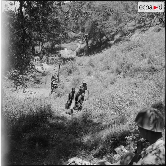 Région de Catinat. Opération de regroupement de la population.