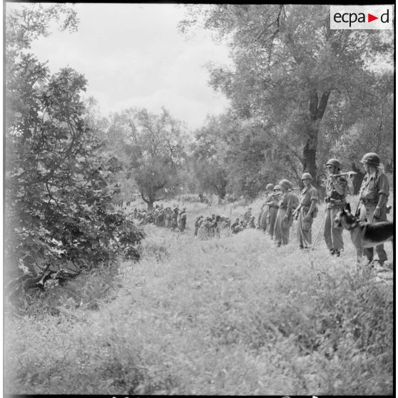 Région de Catinat. Opération de regroupement de la population.