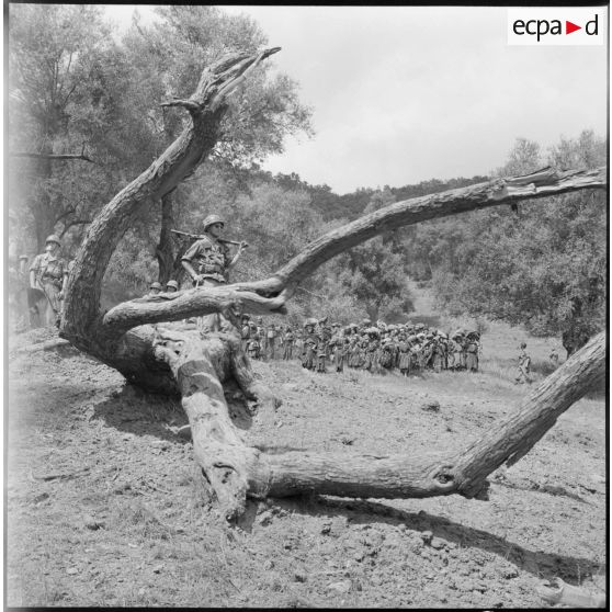 Région de Catinat. Opération de regroupement de la population.