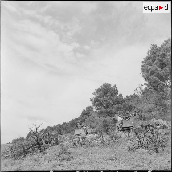 Patrouille de half-tracks du 153e régiment d'infanterie motorisée (RIM) autour du poste d'AÏn Bou Sabbet.