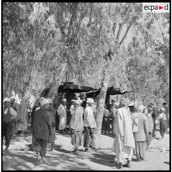 Le marché de Lamartine.