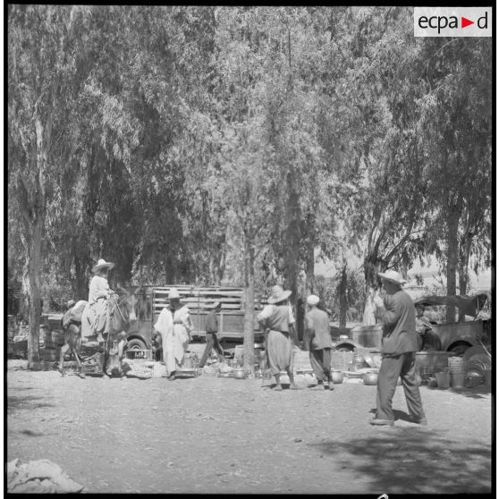 Le marché de Lamartine.