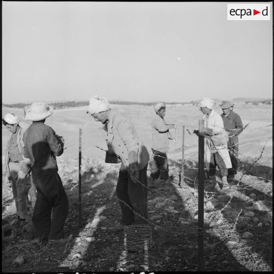 Frontière algéro-tunisienne. Installation de la ligne Morice.