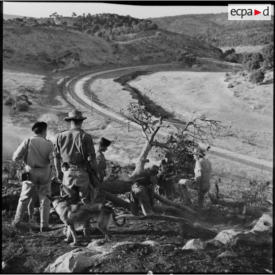 Travaux sur la frontière algéro-tunisienne.
