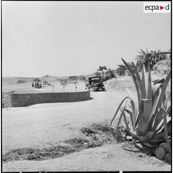 Arrivée des ambulances au douar de Medjadja.