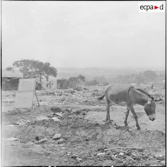 Vue du bidonville Descuns.