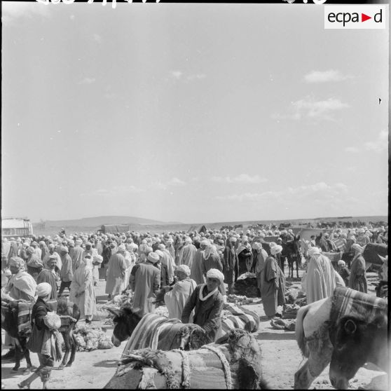 Souk de Timgad.